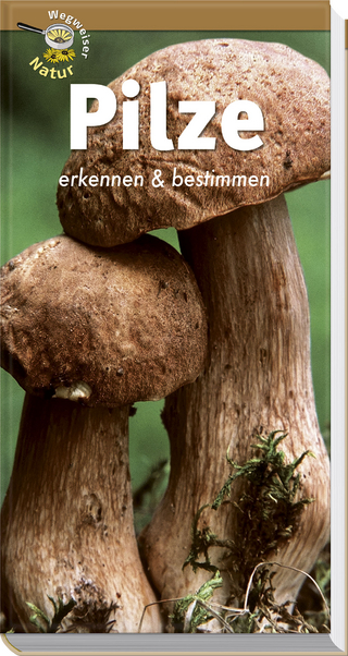 Pilze erkennen und bestimmen