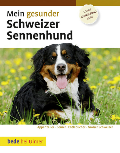 Mein gesunder Schweizer Sennenhund - Dominik Kieselbach