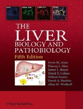The Liver - 