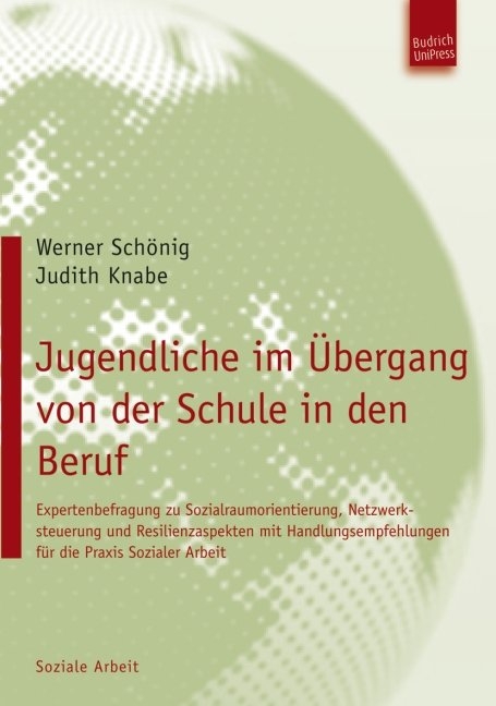 Jugendliche im &Uuml;bergang von der Schule in den Beruf - Werner Sch&ouml;nig, Judith Knabe