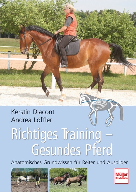 Richtiges Training - Gesundes Pferd - Kerstin Diacont, Andrea L&ouml;ffler