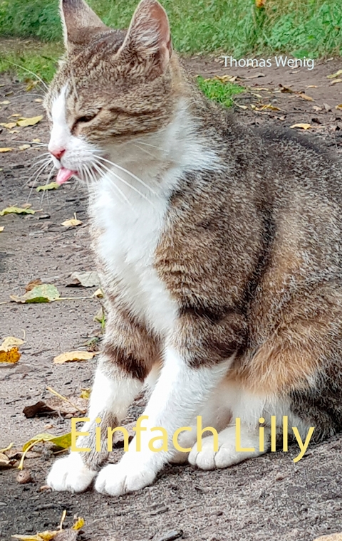 Einfach Lilly - Thomas Wenig