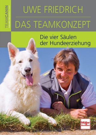 Das Teamkonzept