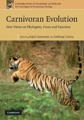 Carnivoran Evolution
