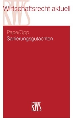 Sanierungsgutachten -  Julian Opp,  Maximilian Pape
