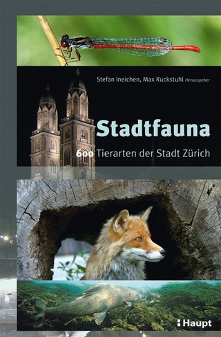 Stadtfauna
