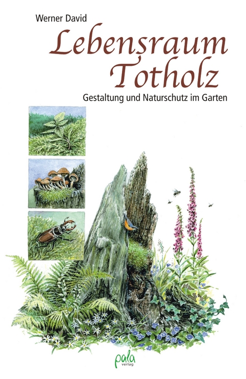 Lebensraum Totholz - Werner David