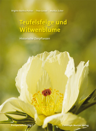 Teufelsfeige und Witwenblume