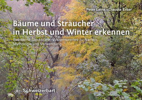 B&auml;ume und Str&auml;ucher in Herbst und Winter erkennen - Peter Leins, Claudia Erbar