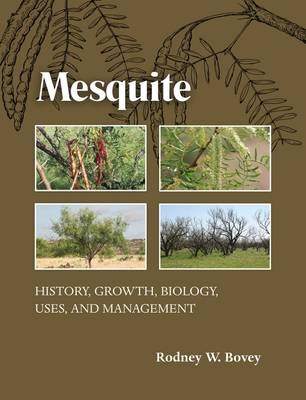 Mesquite -  Rodney W. Bovey