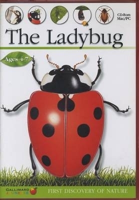The Ladybug