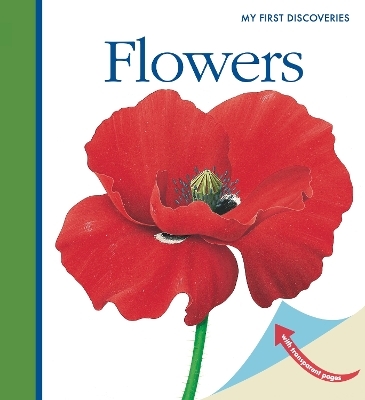 Flowers - Ren&eacute; Mettler