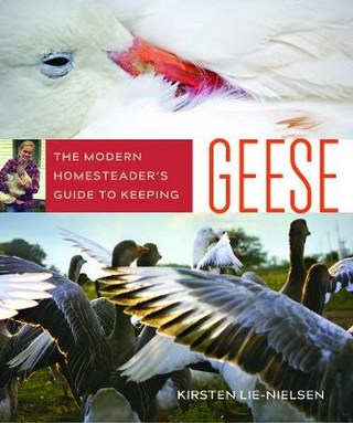 Modern Homesteader's Guide to Keeping Geese