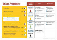 Triage Procedure Chart -  Imaginatics, (Imaginatics) Imaginatics