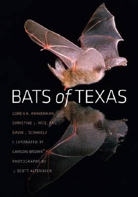 Bats of Texas -  Loren K. Ammerman,  Christine L. Hice,  David J. Schmidly