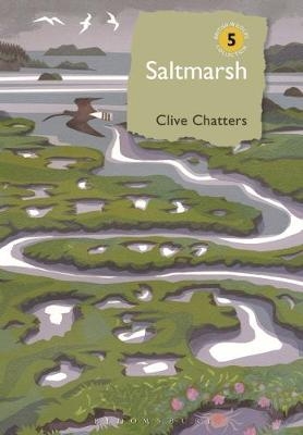Saltmarsh -  Mr Clive Chatters