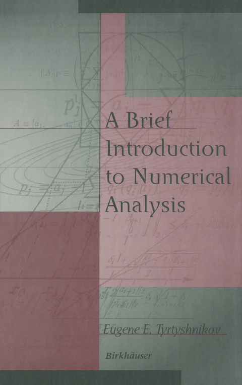 A Brief Introduction to Numerical Analysis - Eugene E. Tyrtyshnikov