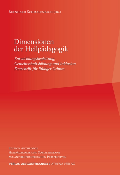 Dimensionen der Heilp&auml;dagogik - 