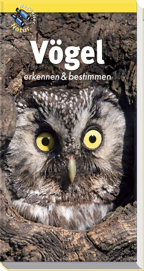 V&ouml;gel erkennen und bestimmen