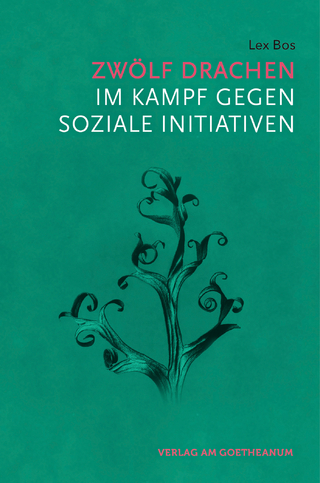 Zwölf Drachen im Kampf gegen soziale Initiativen