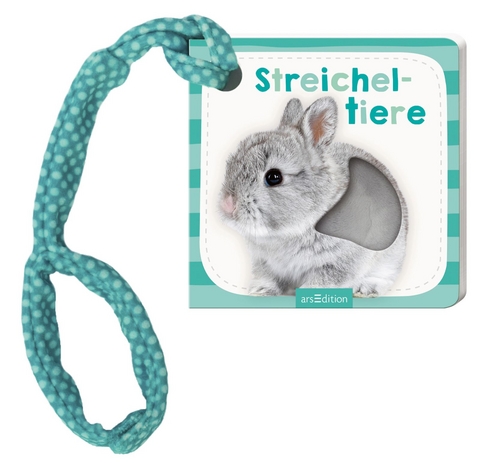 Mein Foto-Buggybuch Streicheltiere