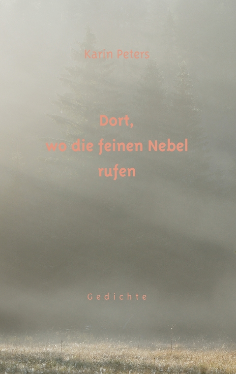 Dort, wo die feinen Nebel rufen - Karin Peters