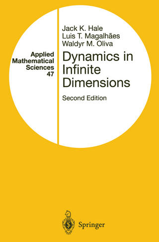Dynamics in Infinite Dimensions