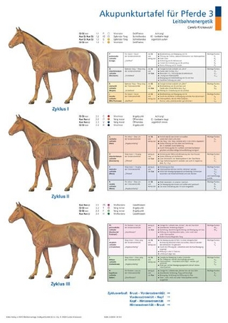 Akupunkturtafel für Pferde 3 + 4
