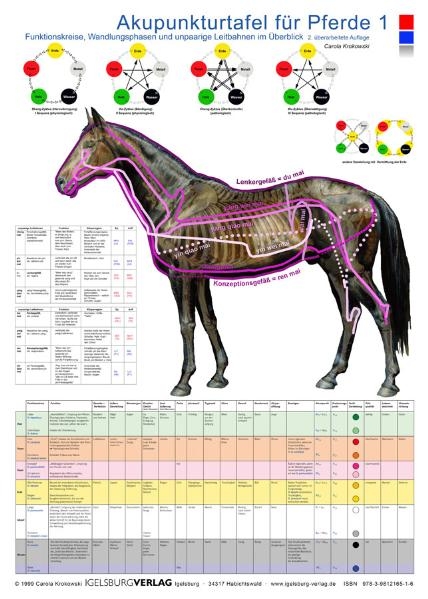 Akupunkturtafel f&uuml;r Pferde 1 + 2 - Carola Krokowski