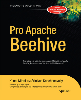 Pro Apache Beehive