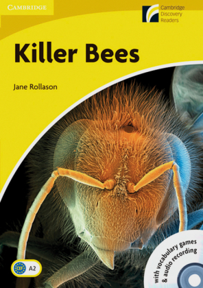 Killer Bees - Jane Rollason