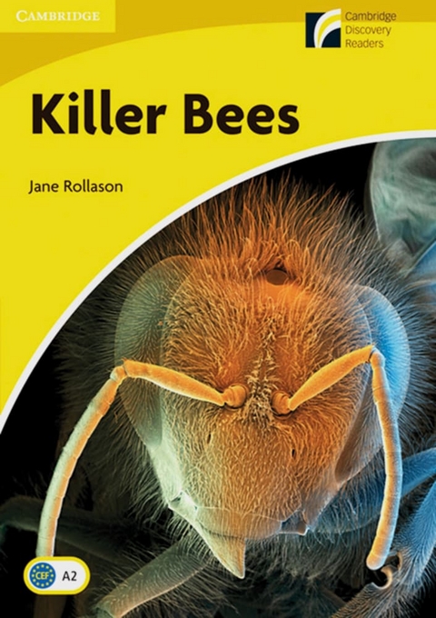 Killer Bees - Jane Rollason