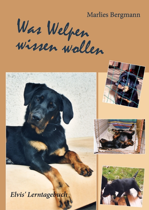 Was Welpen wissen wollen - Marlies Bergmann