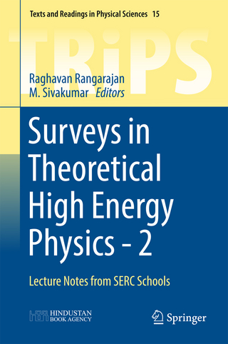 Surveys in Theoretical High Energy Physics - 2