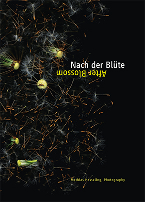 Nach der Blüte - After Blossom