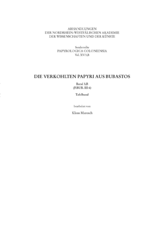 Die verkohlten Papyri aus Bubastos (P.Bub. III 6)