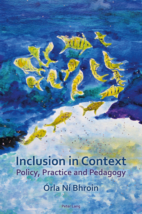 Inclusion in Context -  Ni Bhroin Orla Ni Bhroin