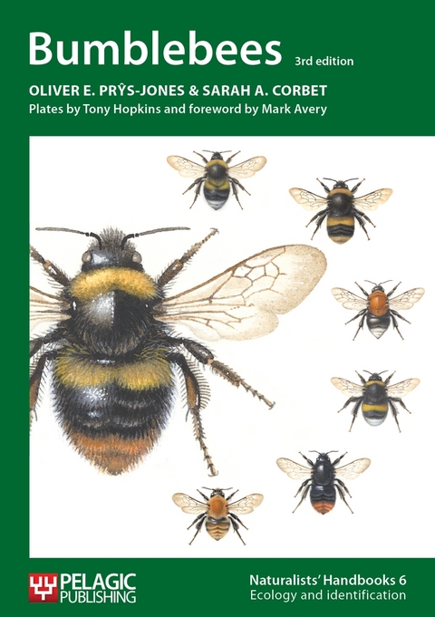 Bumblebees - Oliver E. Prys-Jones, Sarah Corbet