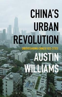 China’s Urban Revolution