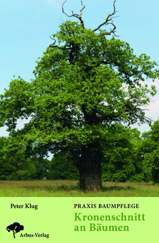 Praxis Baumpflege - Kronenschnitt an Bäumen