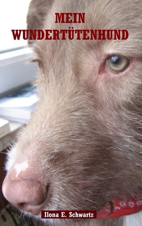 Mein Wundert&uuml;tenhund - Ilona E. Schwartz