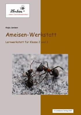 Ameisen-Werkstatt