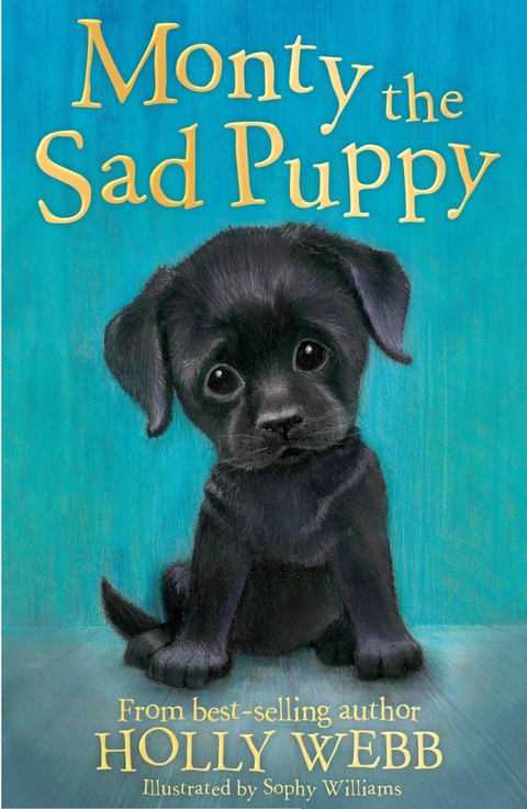 Monty the Sad Puppy -  Holly Webb