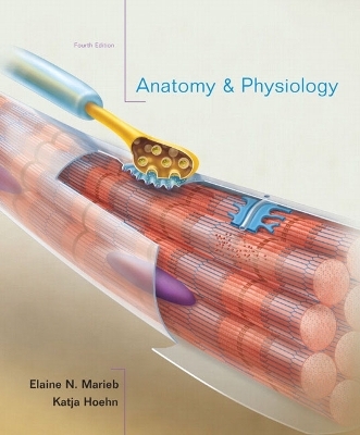 Anatomy & Physiology - Elaine N. Marieb, Katja Hoehn