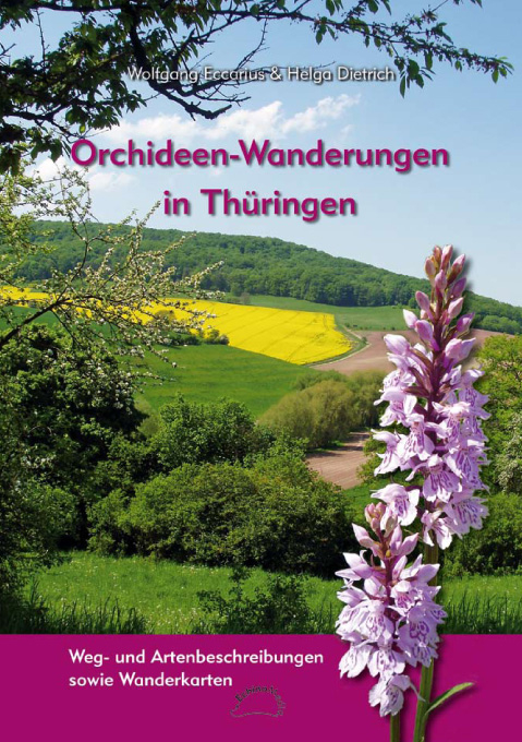 Orchideen-Wanderungen in Th&uuml;ringen - Wolfgang Eccarius, Helga Dietrich