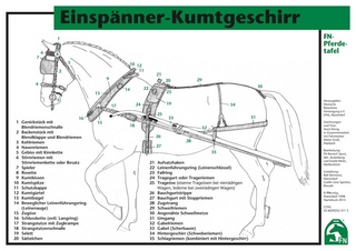 Einspänner-Kumtgeschirr