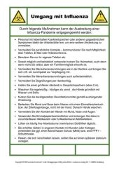 Faltkarte Aushang Schweinegrippe (Eindämmung der Ausbreitung)