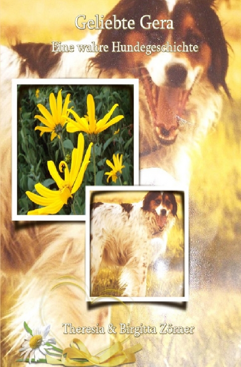 Geliebte Gera - Birgitta Z&ouml;rner