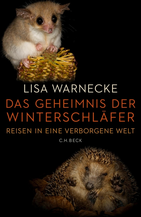 Das Geheimnis der Winterschläfer -  Lisa Warnecke