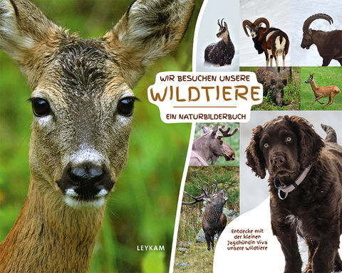 Wir besuchen unsere Wildtiere &ndash; Ein Naturbilderbuch - Ingrid Flick, Georg Rothmann